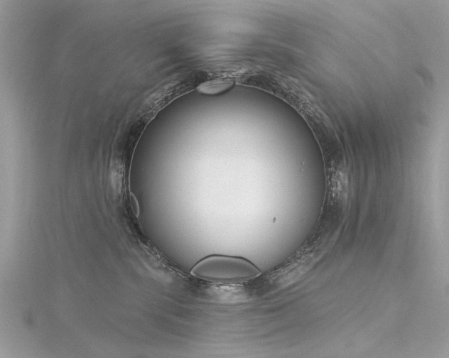 X0000116300283200911301448