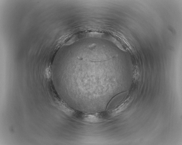 X0000116300285200911301448