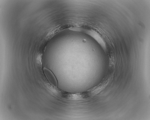 X0000116300286200911301448