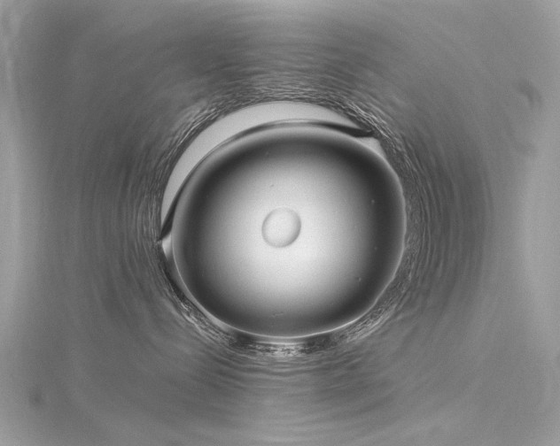 X0000116300288200911301448