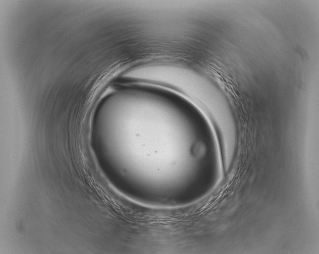 X0000116300289200911301447