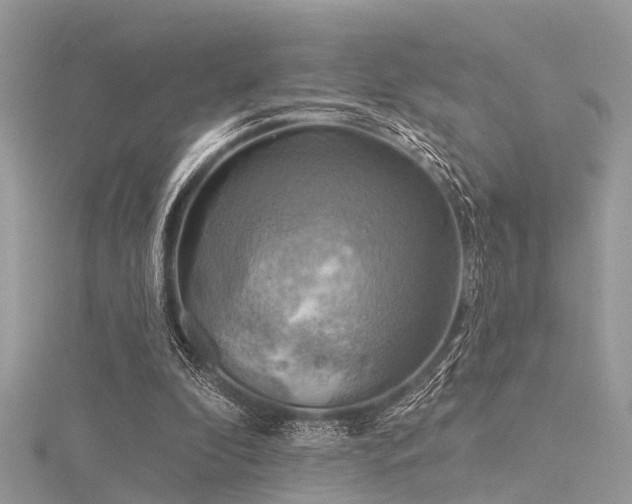 X0000116300296200911301447