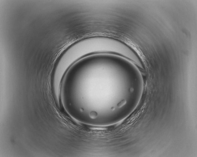 X0000116300297200911301447