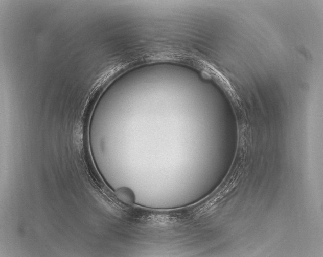 X0000116300298200911301447