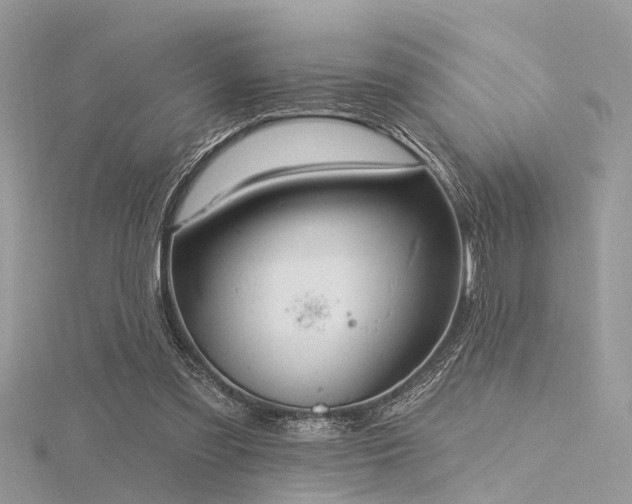 X0000116300301200911301447