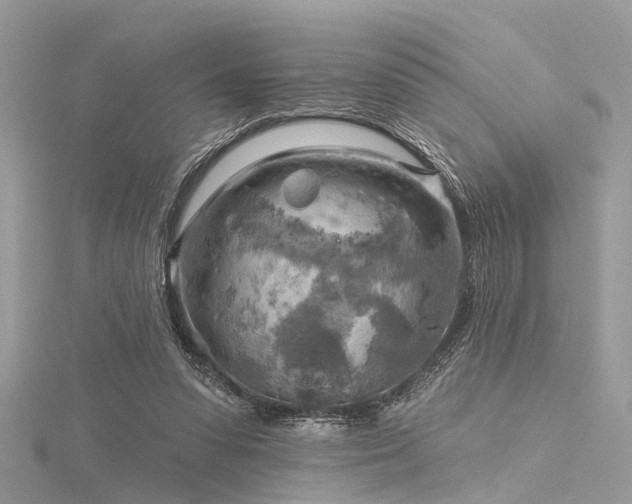 X0000116300303200911301447