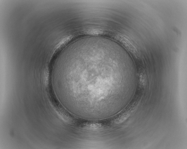 X0000116300304200911301447