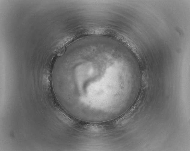 X0000116300305200911301447