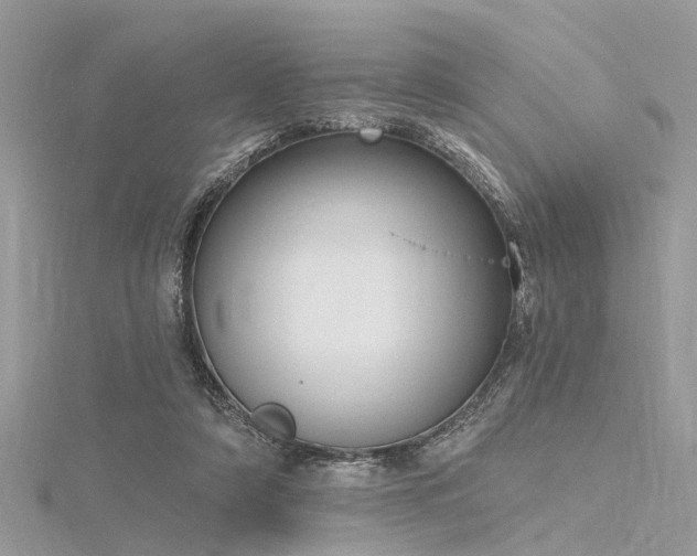 X0000116300306200911301447