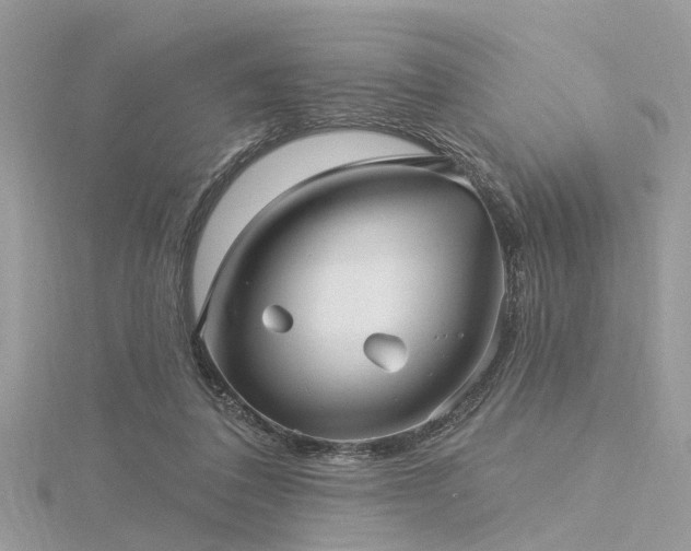 X0000116300308200911301447