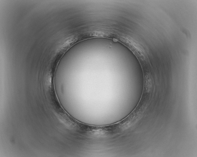 X0000116300310200911301447