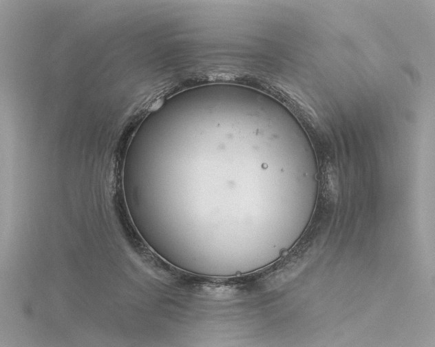 X0000116300311200911301447