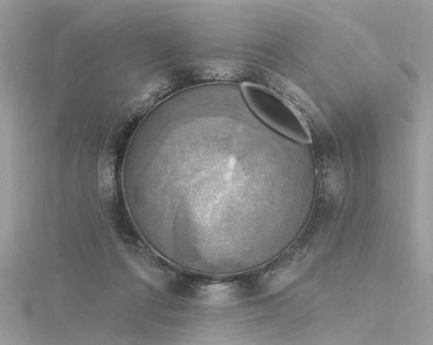 X0000116300312200911301447