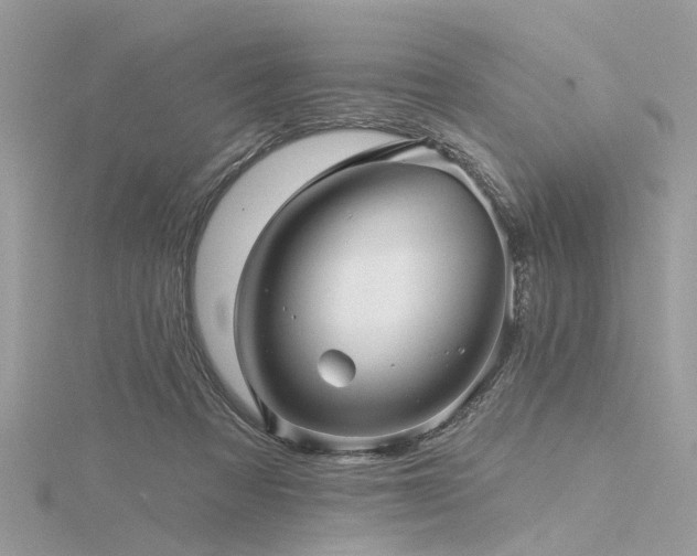 X0000116300313200911301447