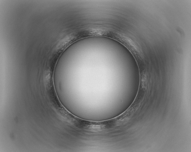 X0000116300314200911301447