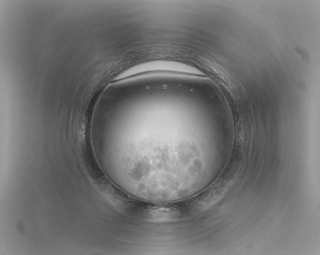 X0000116300315200911301447