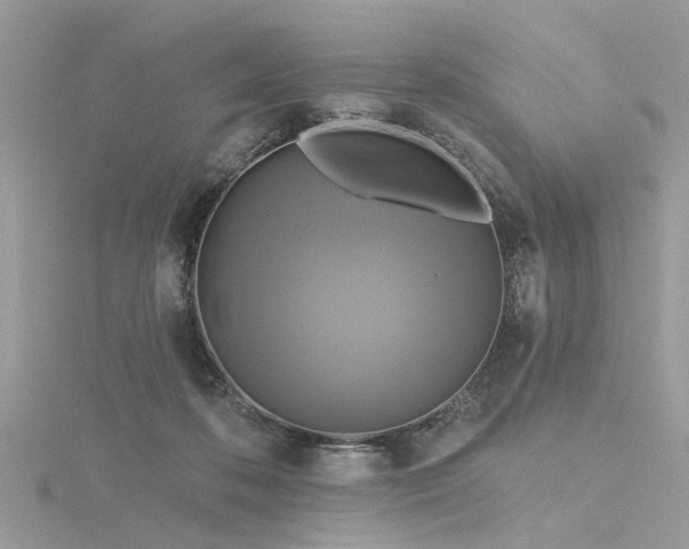 X0000116300316200911301447