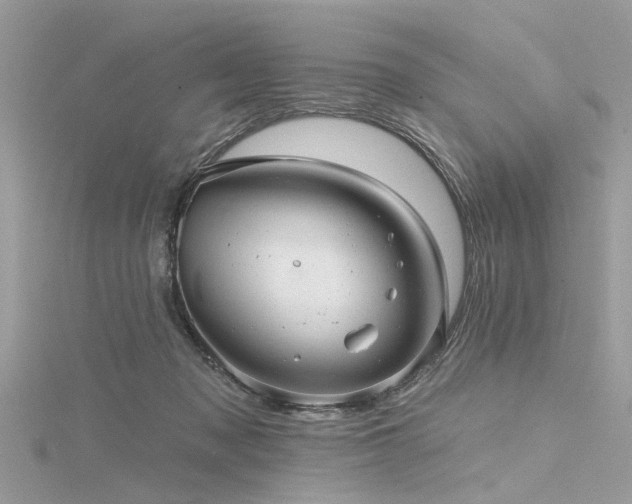 X0000116300317200911301447