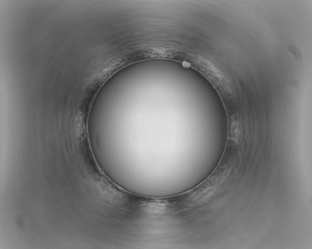 X0000116300318200911301447