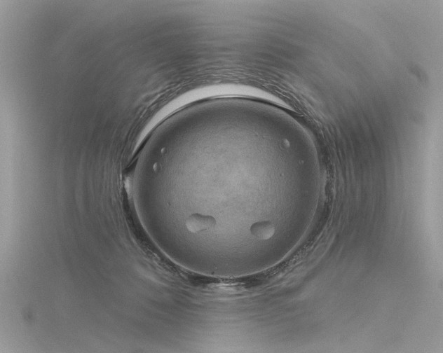 X0000116300320200911301447