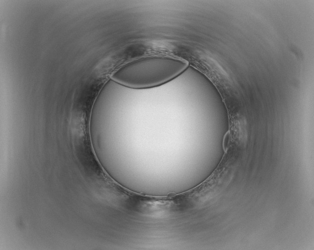 X0000116300323200911301447