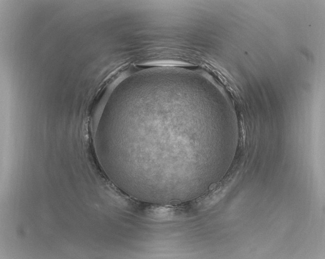 X0000116300325200911301447