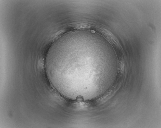 X0000116300326200911301447