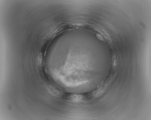 X0000116300328200911301447