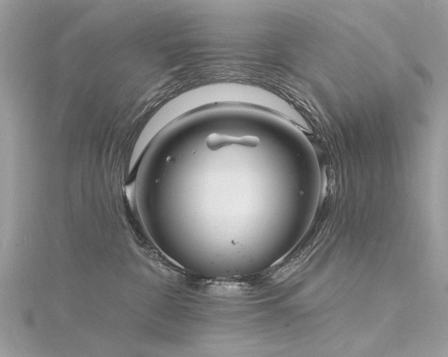 X0000116300332200911301447