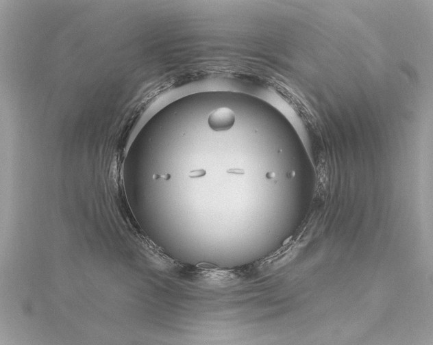 X0000116300333200911301447