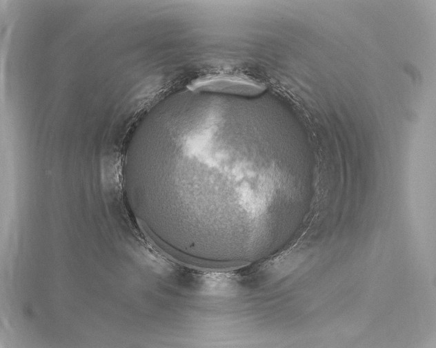 X0000116300336200911301447