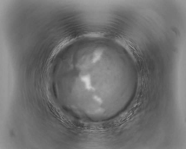 X0000116300337200911301446