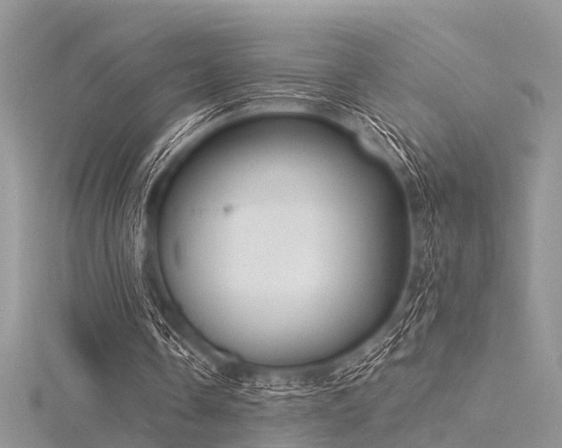 X0000116300338200911301446