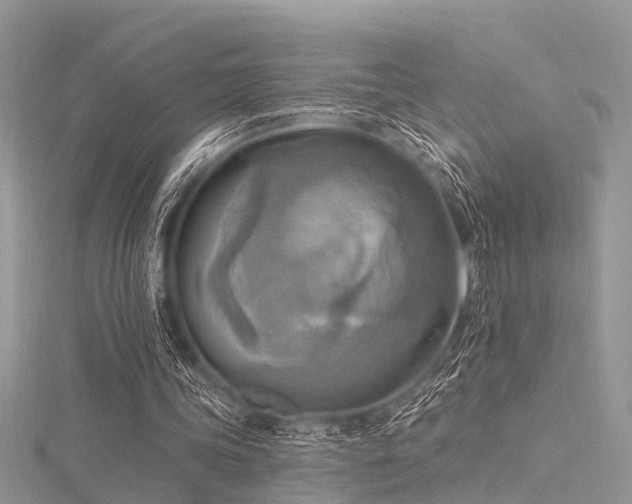 X0000116300339200911301446