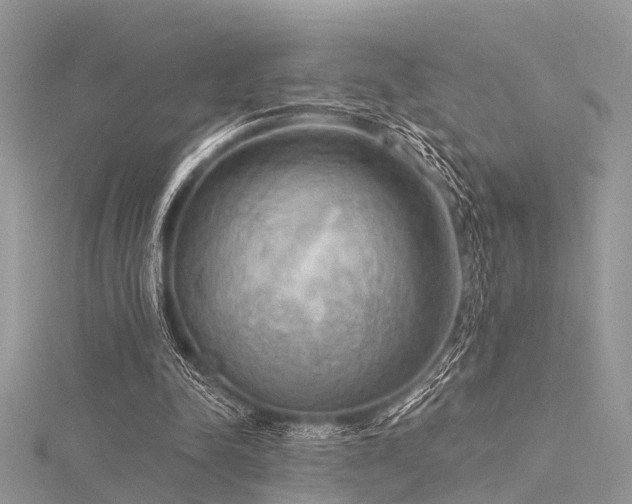 X0000116300342200911301446