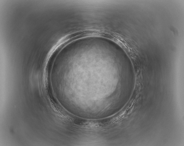 X0000116300343200911301446