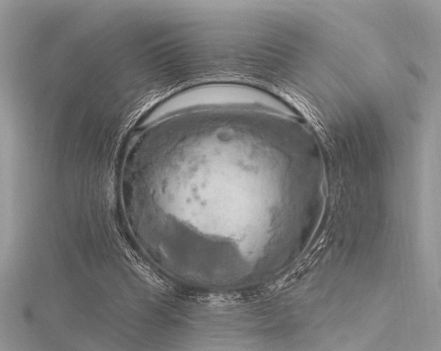 X0000116300345200911301446