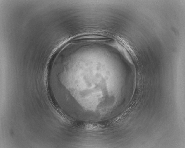 X0000116300346200911301446