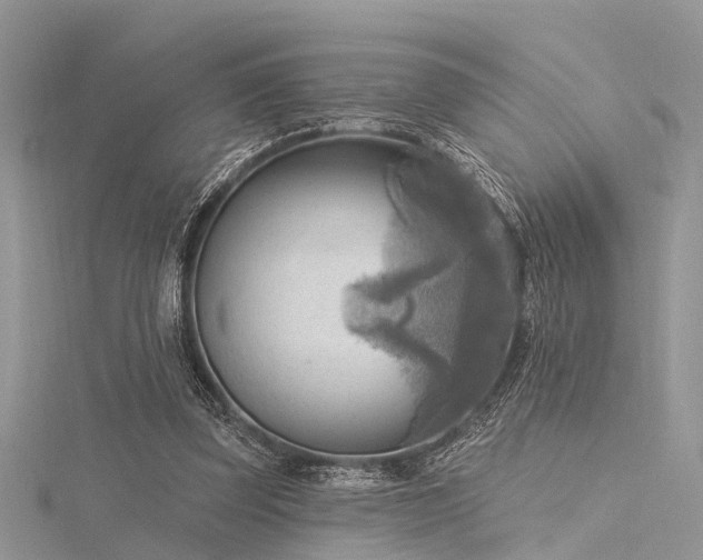 X0000116300347200911301446