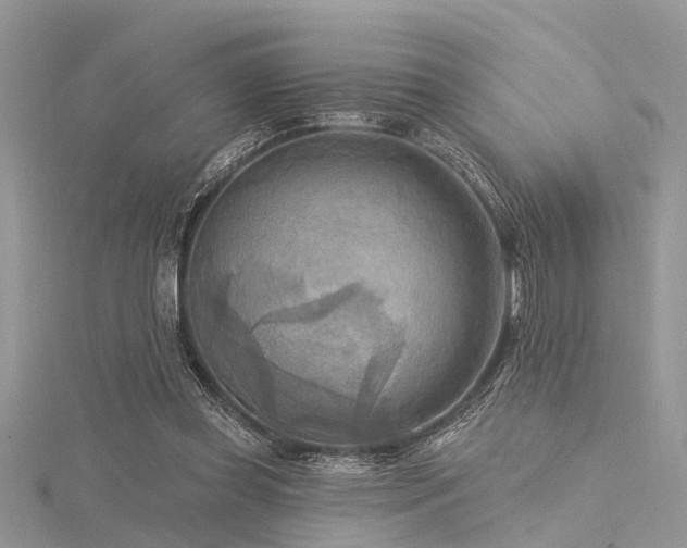 X0000116300349200911301446