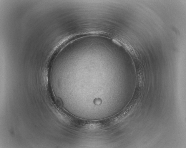 X0000116300350200911301446