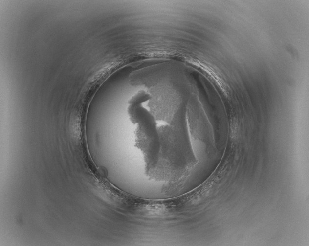 X0000116300353200911301446