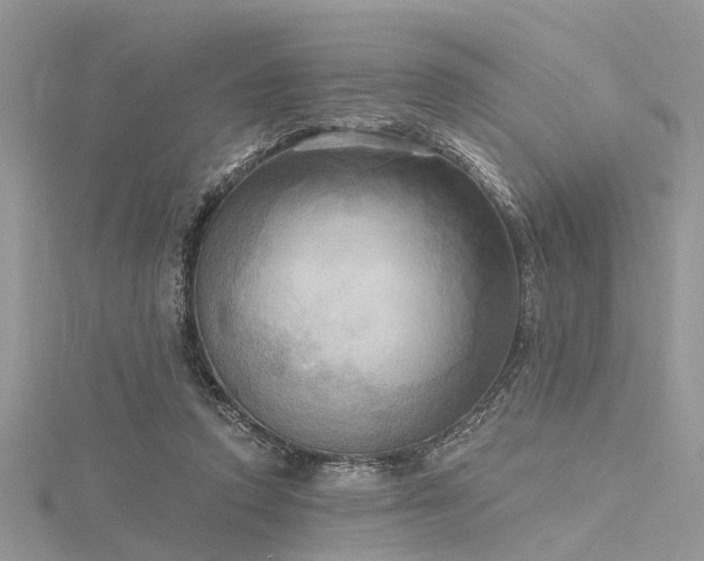 X0000116300354200911301446