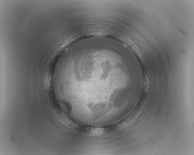 X0000116300355200911301446