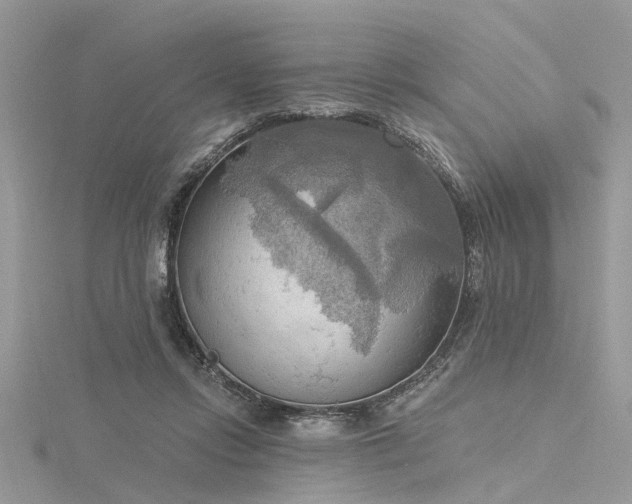 X0000116300358200911301446