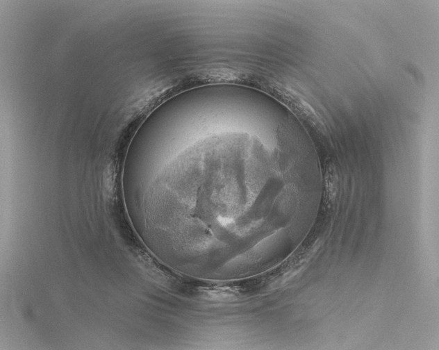 X0000116300359200911301446