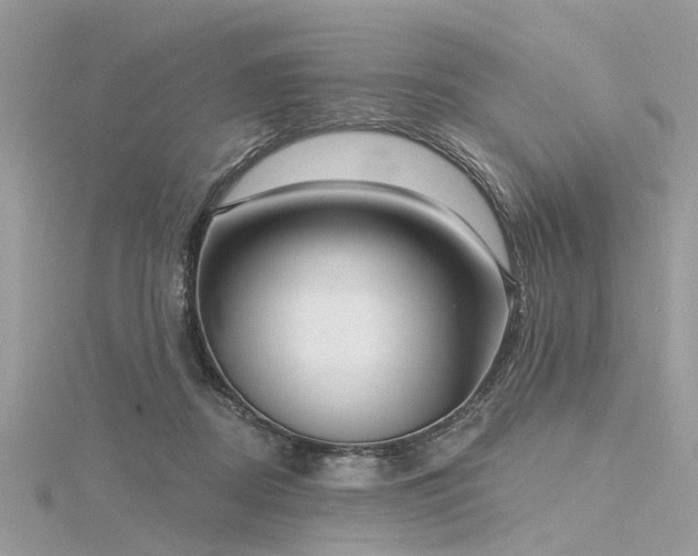 X0000116300362200911301447