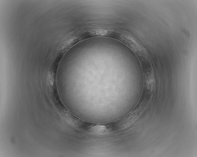 X0000116300374200911301447