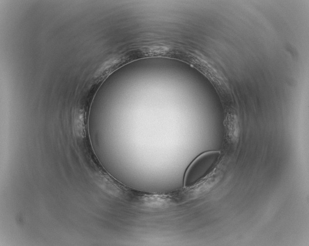 X0000116300378200911301447