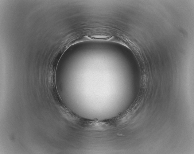 X0000116300379200911301447